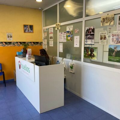 Clínica veterinaria en Pinoso instalaciones recepción